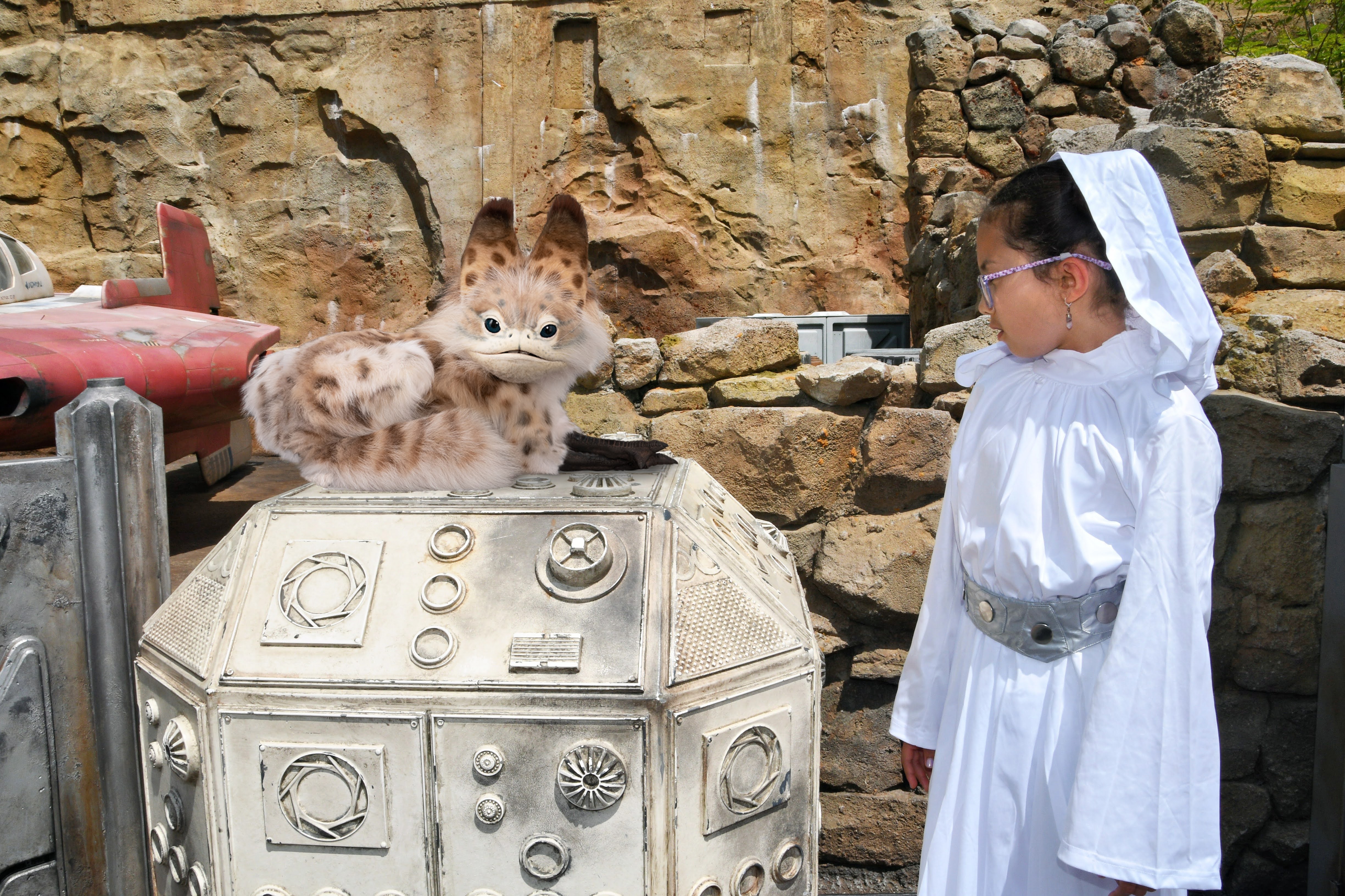 Hollywood Studios - Star Wars Galaxy's Edge